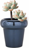 TENLOY 5in Blue Glazed Ceramic Indoor Planter Pot with Drainage Hole by Deal US