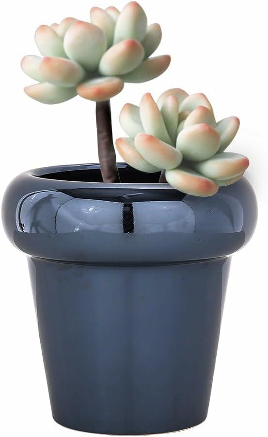 TENLOY 5in Blue Glazed Ceramic Indoor Planter Pot with Drainage Hole by Deal US