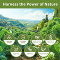 Hudetex Kale Powder 100% Pure Green Juice 12oz Vegan Dietary Fiber by Deal US
