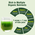 Hudetex Kale Powder 100% Pure Green Juice 12oz Vegan Dietary Fiber by Deal US
