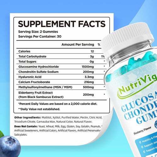 NutriVigor Glucosamine Chondroitin MSM Elderberry Gummies Blueberry 60ct by Deal US