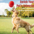 Jestrem Dog Ball Stuffable Chew Toy Treat Dispensing 4.49" Medium Large by Deal US
