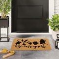 XLQHYH Funny Doormat Front Door Mat Brown 29.5x17 inch High Pile by Deal US