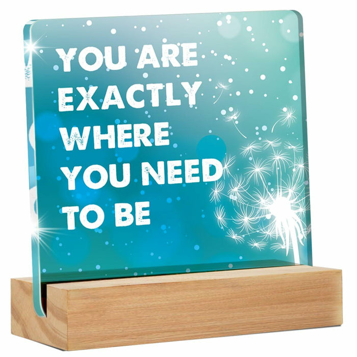 GTGIC Inspirational Desk Sign Motivational Acrylic Office Decor 4x4 Inches by Deal US