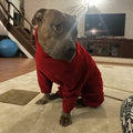 kims cosiart Polar Fleece Dog Jacket Windproof Warm Padded Coat Red Size S by Deal US