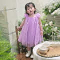 QB Baby Girl Dress Vintage Lace Collar Tulle Skirt Purple Butterfly 12M by Deal US