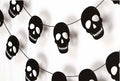RadiantFlux Glowing Halloween Skull Flag 10Ft Green Felt Skull Banner by Deal US