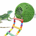 Neeenn Reptile Takraw Ball Hideout Climbing Toy Ladder Tank Decor by Deal US