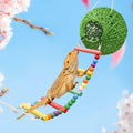 Neeenn Reptile Takraw Ball Hideout Climbing Toy Ladder Tank Decor by Deal US