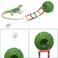 Neeenn Reptile Takraw Ball Hideout Climbing Toy Ladder Tank Decor by Deal US