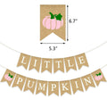 Little Pumpkin Teal Burlap Banner – Fall, Baby Shower & Birthday Decor by Deal US