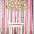 Little Pumpkin Teal Burlap Banner – Fall, Baby Shower & Birthday Decor by Deal US