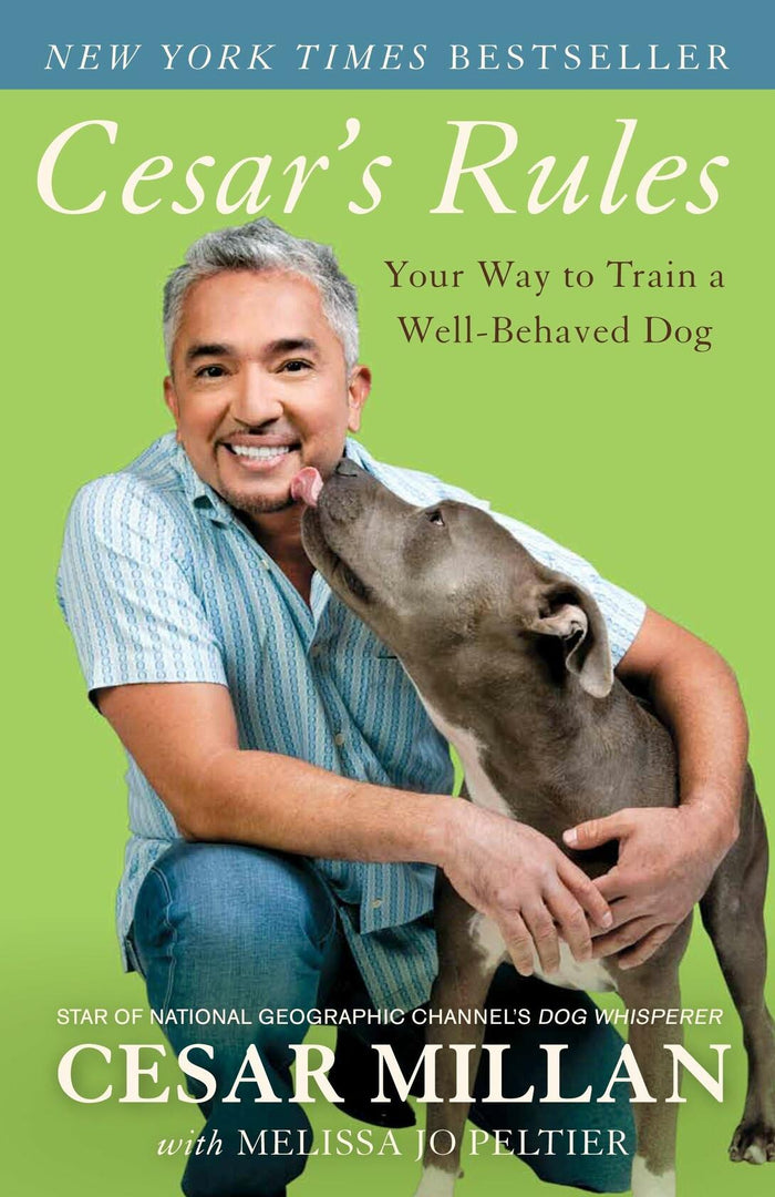 Cesar's Rules: Your Way to Train a Well-Behaved Dog OPEN BOX by Deal US