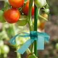 IKAYAS 300Ft Garden Plant Tape Rolls 2-Pack Reusable Tomato Plant Support by Deal US