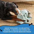 Squiggy Squeaks Dog & Cat Sleep Play Blanket Squeaky Toy 22x27in Blue/Green by Deal US