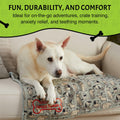 Squiggy Squeaks Dog & Cat Sleep Play Blanket Squeaky Toy 22x27in Blue/Green by Deal US