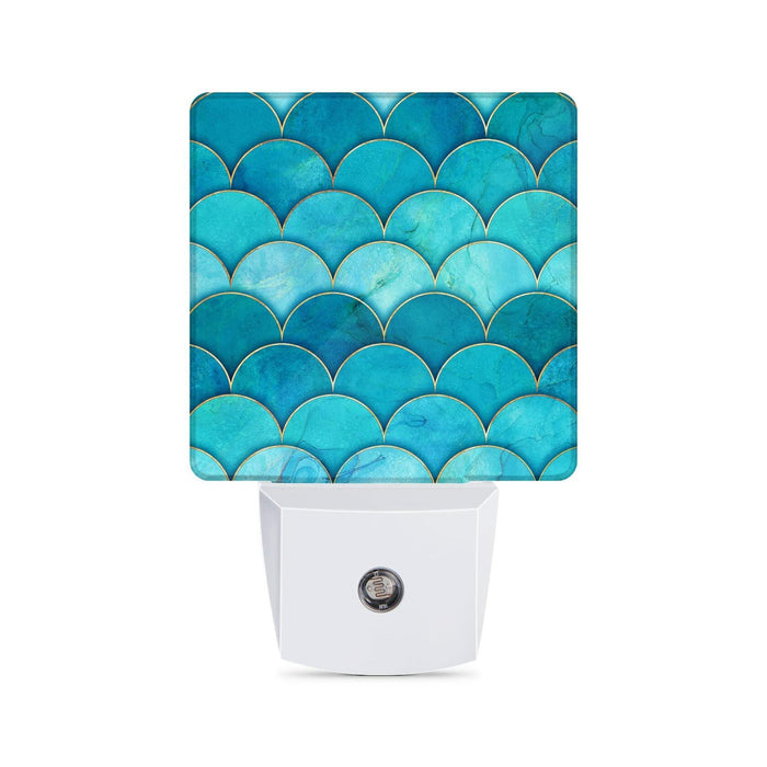 Caifujiqi Night Light Plug-in Dusk to Dawn Sensor White LED Plastic Modern by Deal US