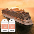 10 Pack Princess Clear Luggage Tag Holders with Steel Loops for Cruise Ships by Deal US