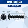 1/4-20 x 1-1/4" Stainless Button Socket Cap Screws 25pcs w/ Hex Wrench by Deal US
