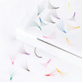 1000pcs Colorful Premade Volume Lash Extensions 6D C Curl 13mm by Deal US