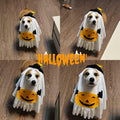 Dog Cat Halloween Pumpkin Ghost Costume Funny Cute Pet Outfit Medium by Deal US