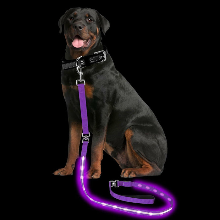PetIsay Light-Up Dog Leash 6FT USB-C Rechargeable Waterproof White by Deal US