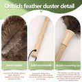 Greenfeather Small Ostrich Feather Duster 16in Wooden Handle 2 Pack by Deal US