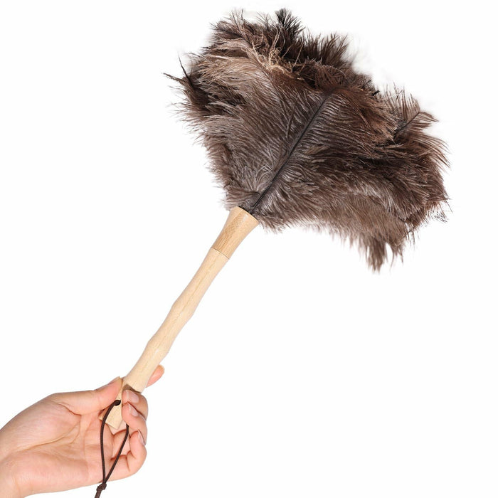 Greenfeather Small Ostrich Feather Duster 16in Wooden Handle 2 Pack by Deal US