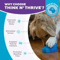 Outward Hound Gummiez Bear Dog Toy & Treat Stuffer 4.7" Blue Raspberry by Deal US