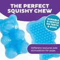 Outward Hound Gummiez Bear Dog Toy & Treat Stuffer 4.7" Blue Raspberry by Deal US