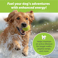Dog Joint Support Powder – Beef Flavor Glucosamine Supplement for Mobility by Deal US
