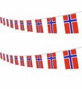 Norway String Flag Banner 16ft 20 Mini Flags 5.5x8.2in Party Decor by Deal US