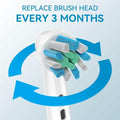 Toothbrush Replacement Heads 8-Pack Plaque Blast Twisted Bristle Oral B by Deal US