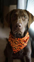 KZHAREEN 2 Pack Halloween Dog Bandana Reversible Triangle Scarf Large by Deal US