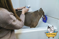 Bath Buddy Dog Bath Toy Peanut Butter Spread Helper Purple by Deal US