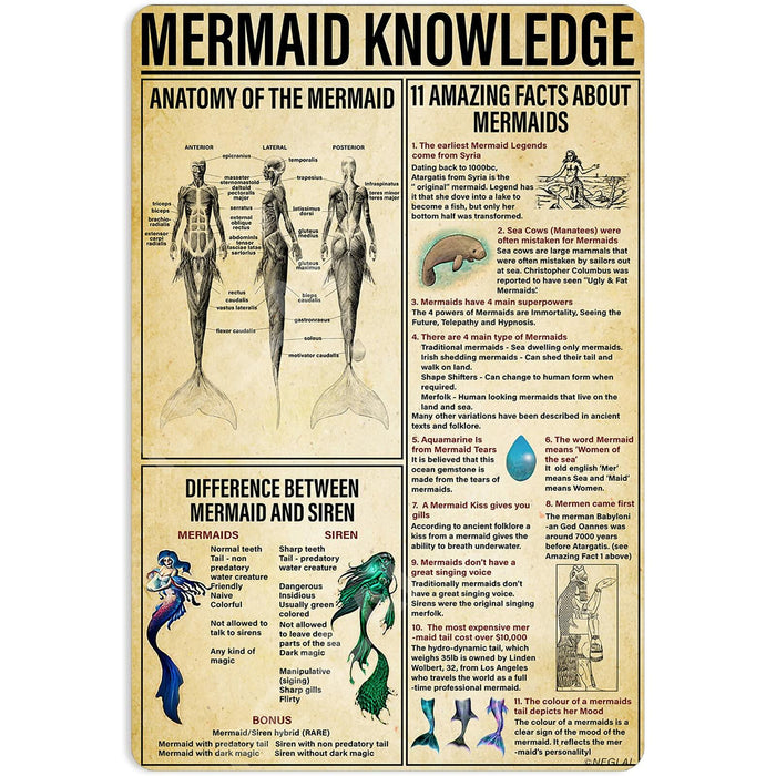 NEGLAI Mermaid Knowledge Metal Sign Poster Vintage Wall Art 16x12 Inches by Deal US