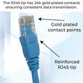 NTCFL Cat6 Patch Cable 1m Light Blue 10Gbps 250MHz Gold Plated Tips by Deal US