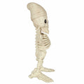 Seasons 12" Skeleton Gnome Figurine Halloween Decoration White Plastic by Deal US