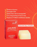 Rustic Art Amla Methi Hair Conditioning Bar Sulphate Silicone Free by Deal US