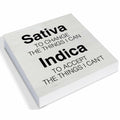 GTGIC Office Desk Sign Motivational Funny Wood Decor Multicolor 5x5 Inches by Deal US