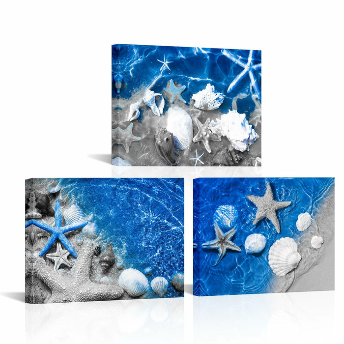 FuShvre Beach Canvas Wall Art Sea Shell Pictures Blue 12x16 3pcs Coastal by Deal US