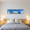 FuShvre Beach Canvas Wall Art Sea Shell Pictures Blue 12x16 3pcs Coastal by Deal US