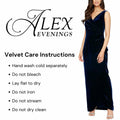 Alex Evenings Women's Velvet Puff Sleeve Cocktail Gown Wine Size 4 by Deal US
