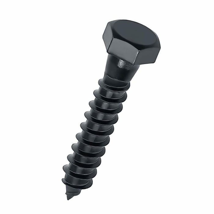 Fayeploo 5/16x2 Black Hex Head Lag Screws 304 Stainless Steel 10 pcs by Deal US