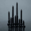 Fayeploo 5/16x2 Black Hex Head Lag Screws 304 Stainless Steel 10 pcs by Deal US