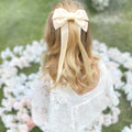 Aileam 2PCS Velvet Hair Bows Ivory Beige Big Fall Alligator Clips by Deal US