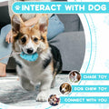 Jieffifa Indestructible TPR Dog Chew Toy with Suction Cup Blue by Deal US