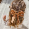 Aileam 2PCS Brown Velvet Hair Bows Large Fall Alligator Clips by Deal US
