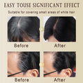 Vienflona Safe and Convenient Comb Hair Dye Gray Coverage Waterproof Coffee 03 by Deal US
