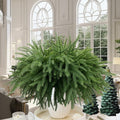 Dushle Norfolk Pine Branches 18in Artificial Greenery Stems 6 Count Green by Deal US